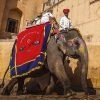 galerias fort amber india