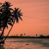 ATARDECER INDIA