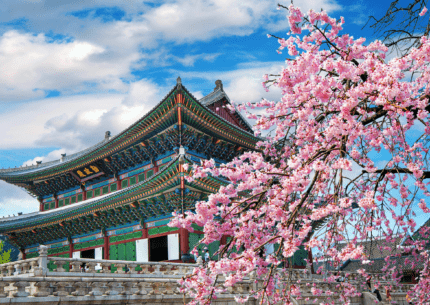 Corea del sur