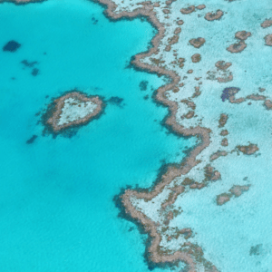 Gran barrera de coral