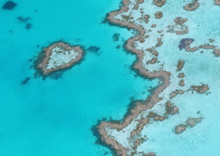 Gran barrera de coral