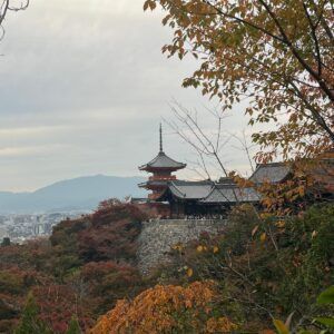 Japon en otoño