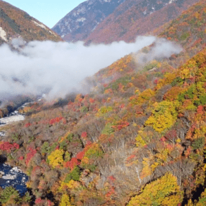 Alpes japoneses