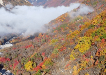 Alpes japoneses